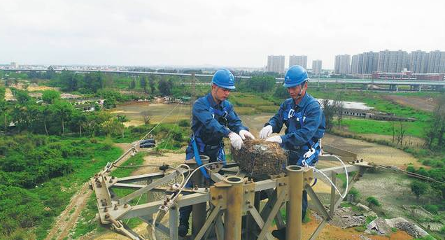 保護(hù)生態(tài)和諧共生，IKAR防墜器出一份力！